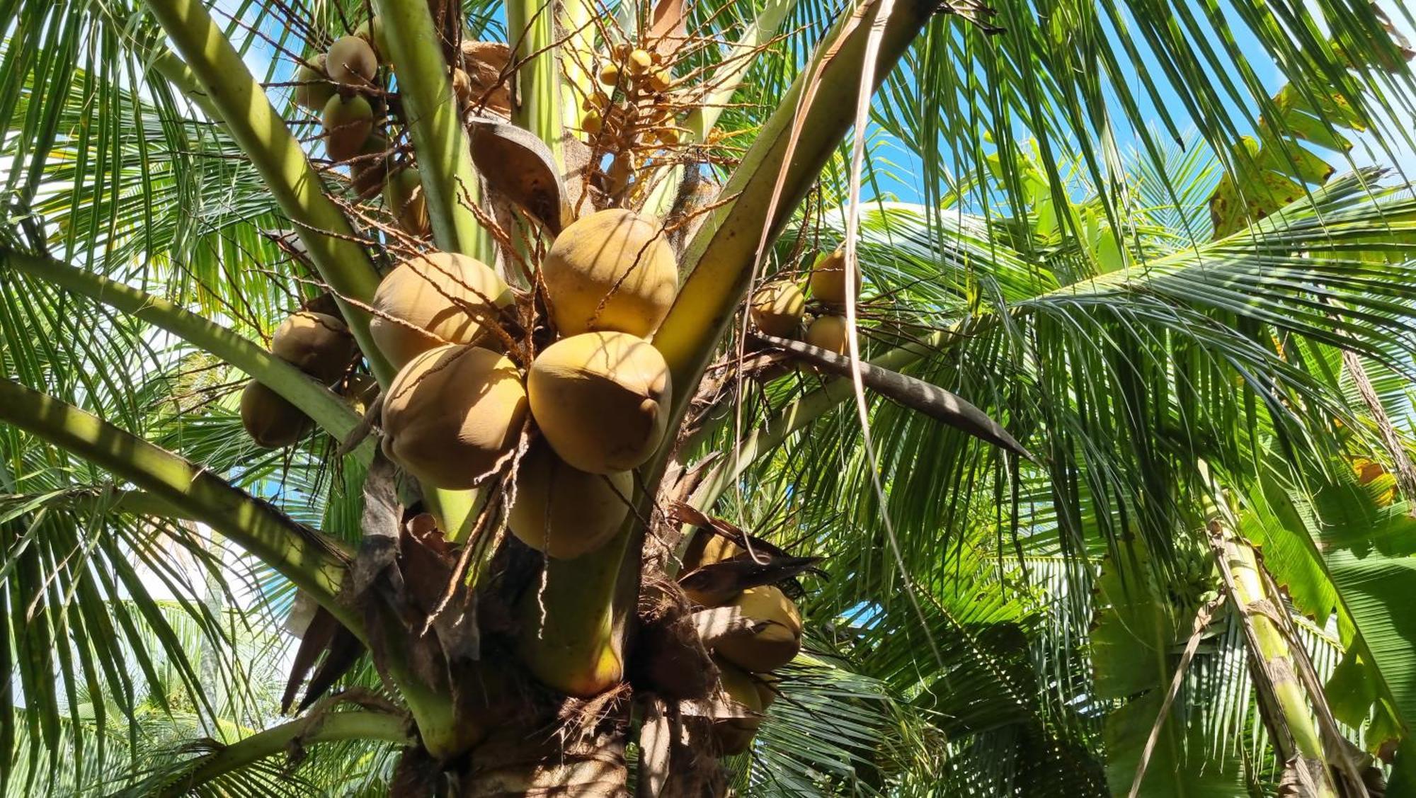 Ba Danh Home Ben Tre Bagian luar foto