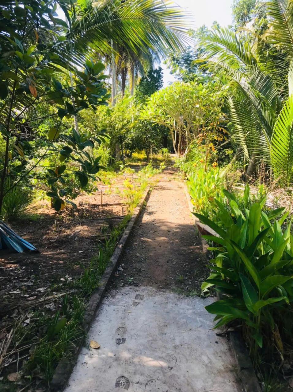 Ba Danh Home Ben Tre Bagian luar foto