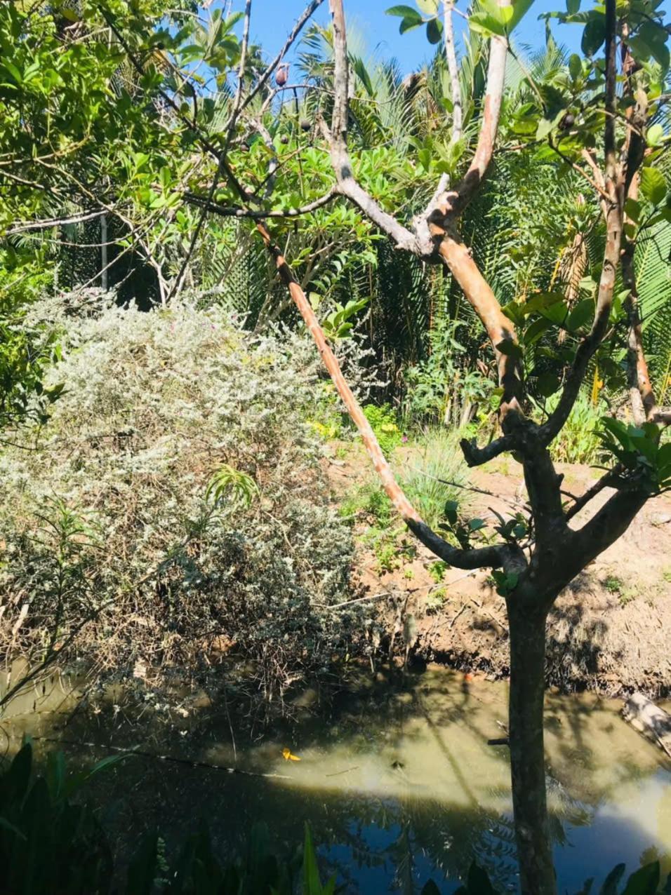 Ba Danh Home Ben Tre Bagian luar foto