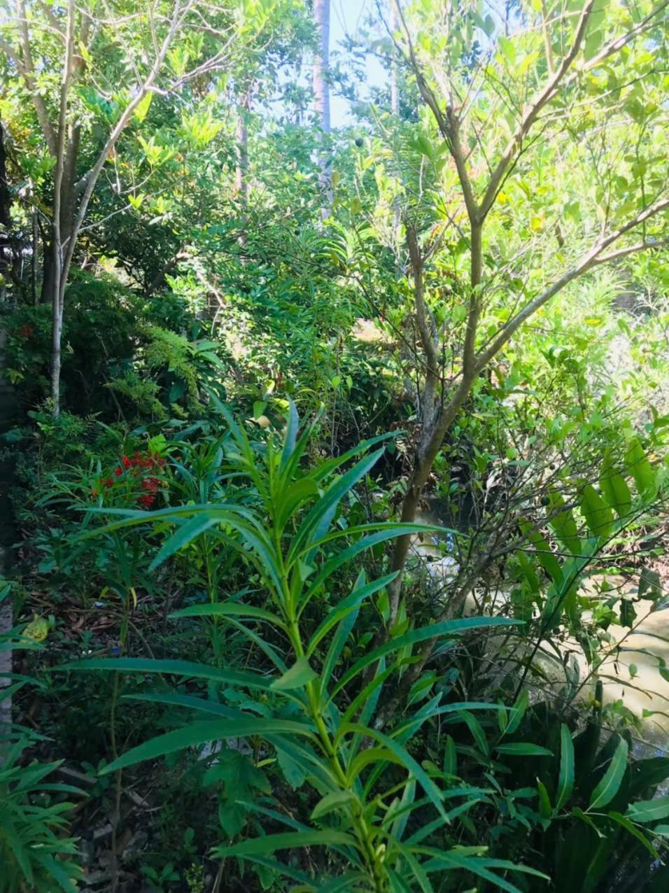 Ba Danh Home Ben Tre Bagian luar foto