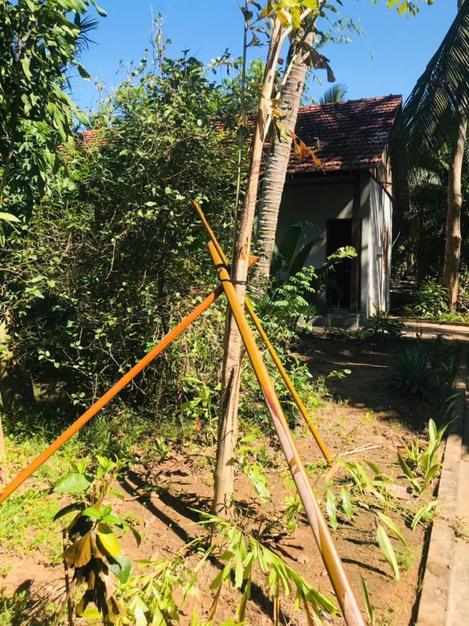 Ba Danh Home Ben Tre Bagian luar foto