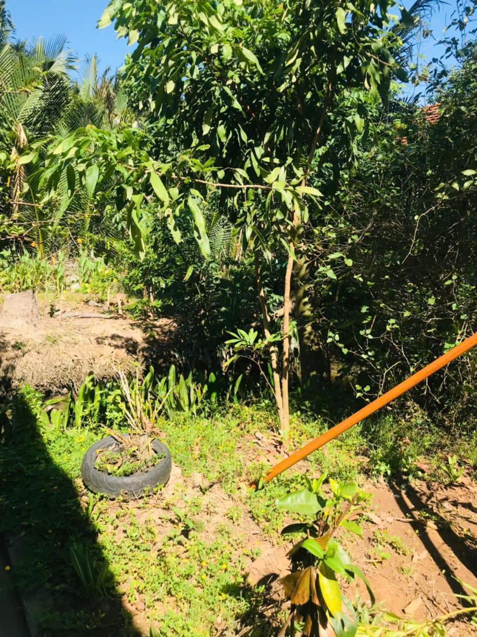 Ba Danh Home Ben Tre Bagian luar foto
